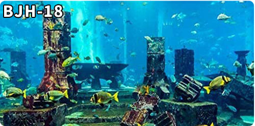 aquarium decorative fish tank background picture single side
