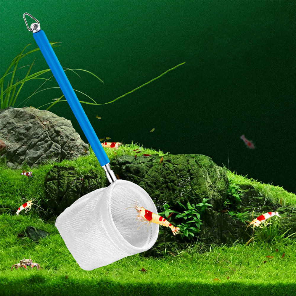 3D Minismall fish net for aquarium