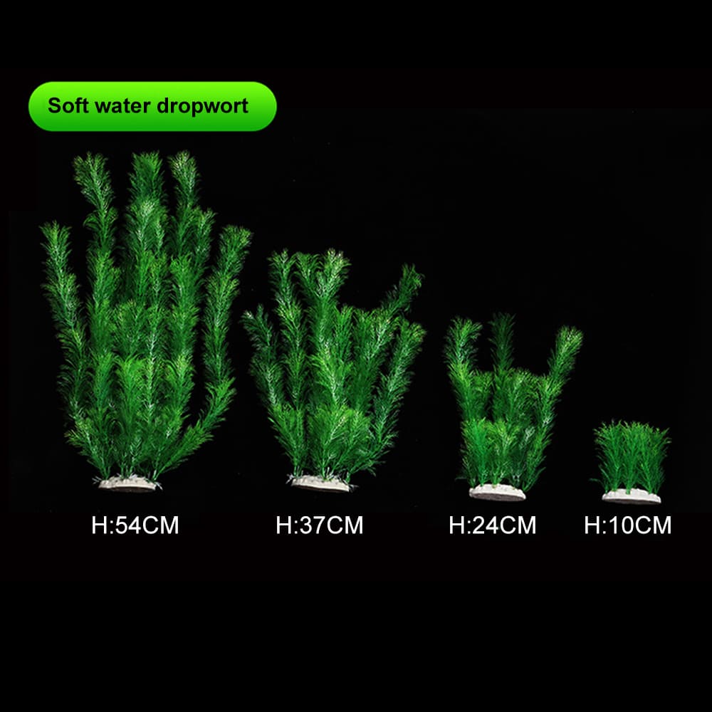 fish tank realistic aquarium plants