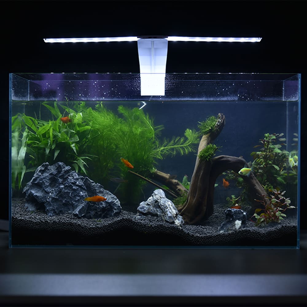 Y Series Double Leaf Split clip on ligh