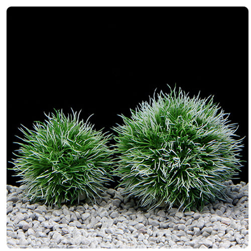 cheap artificial aquarium plants