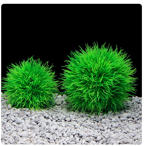 cheap artificial aquarium plants