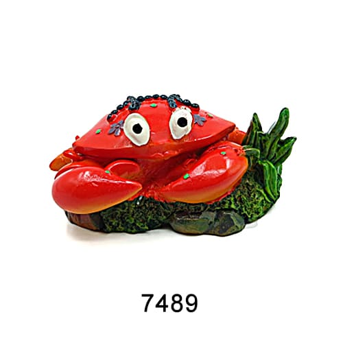 Personalized fish tank decorations