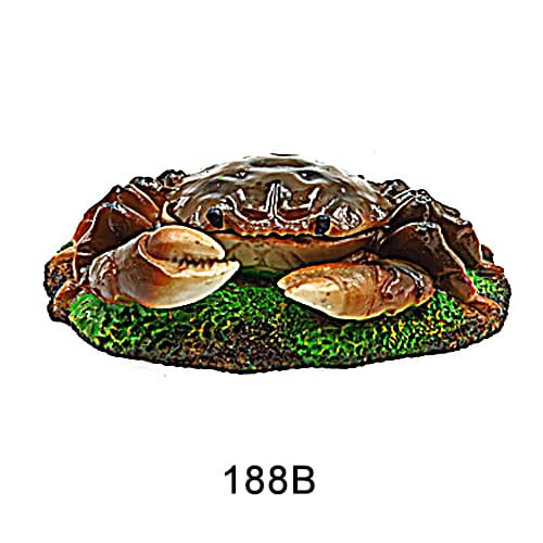 Personalized fish tank decorations