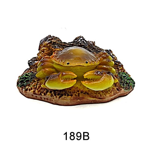 Personalized fish tank decorations