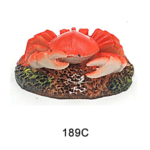 Personalized fish tank decorations