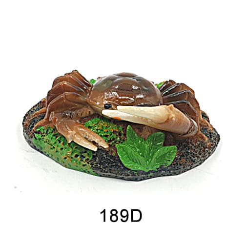 Personalized fish tank decorations