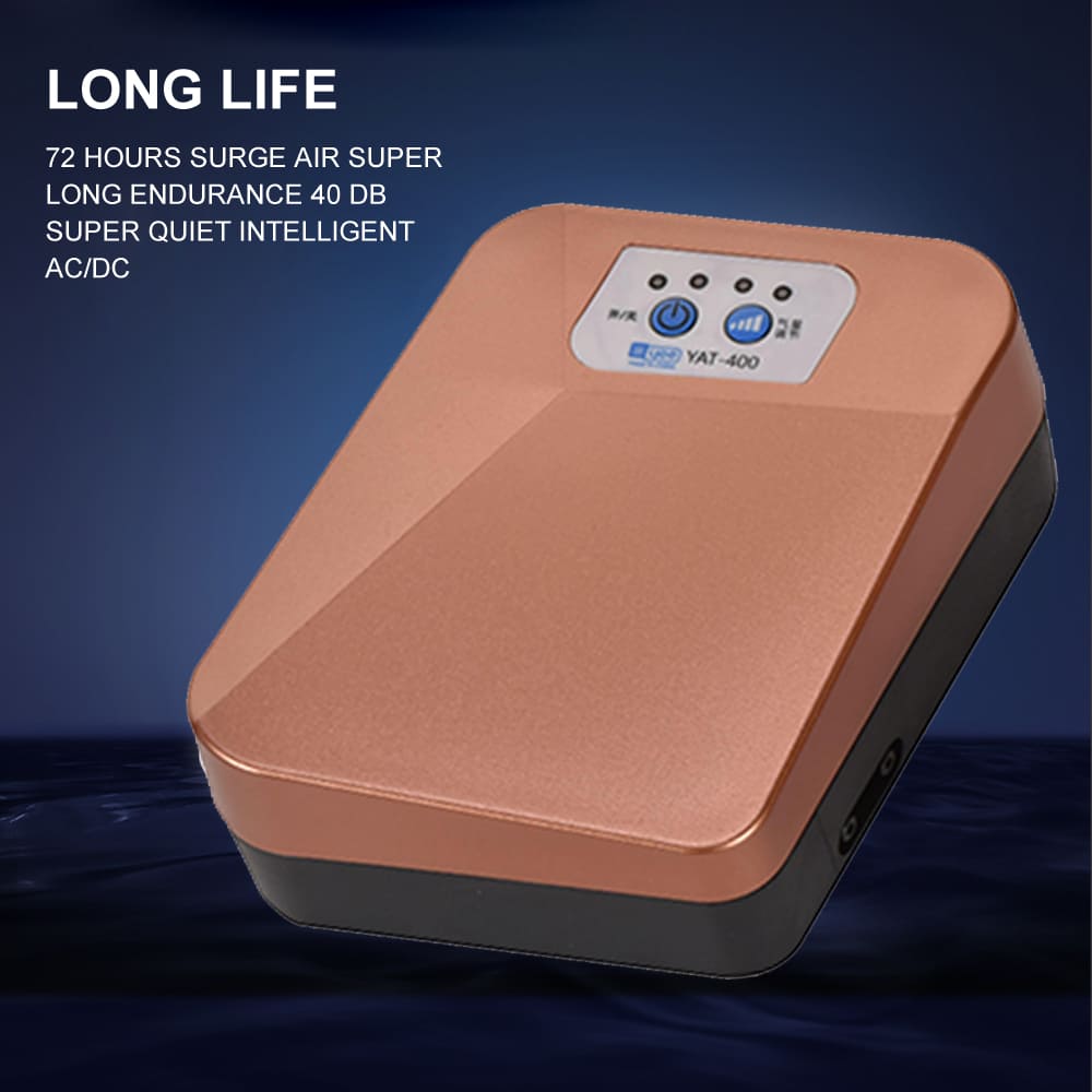 Water tank AC/DC air pump