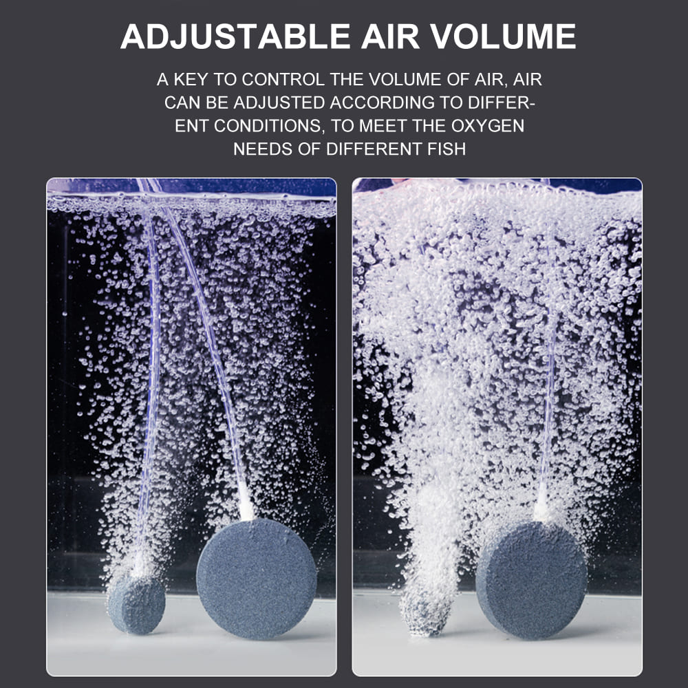 Water tank AC/DC air pump