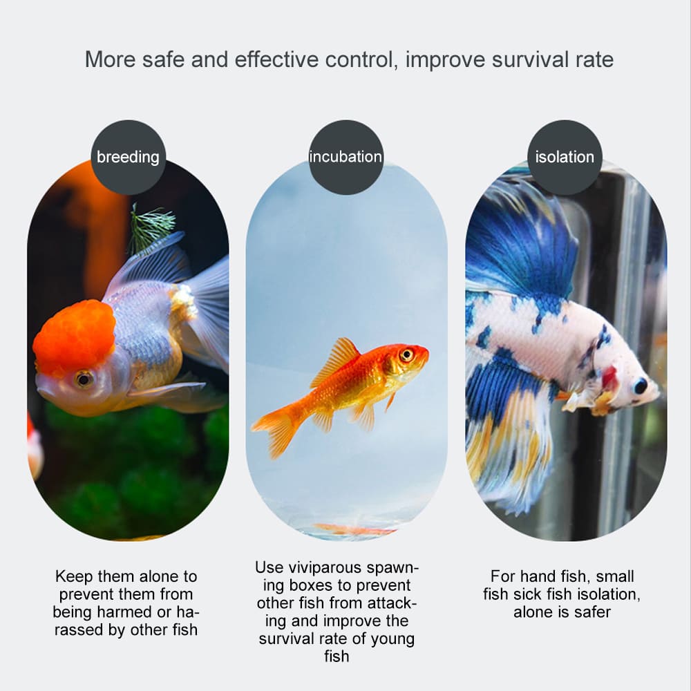 Acrylic isolation box for aquarium