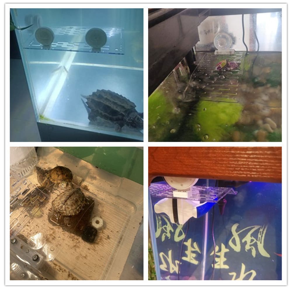 Aquarium Acrylic Turtle Sun Deck