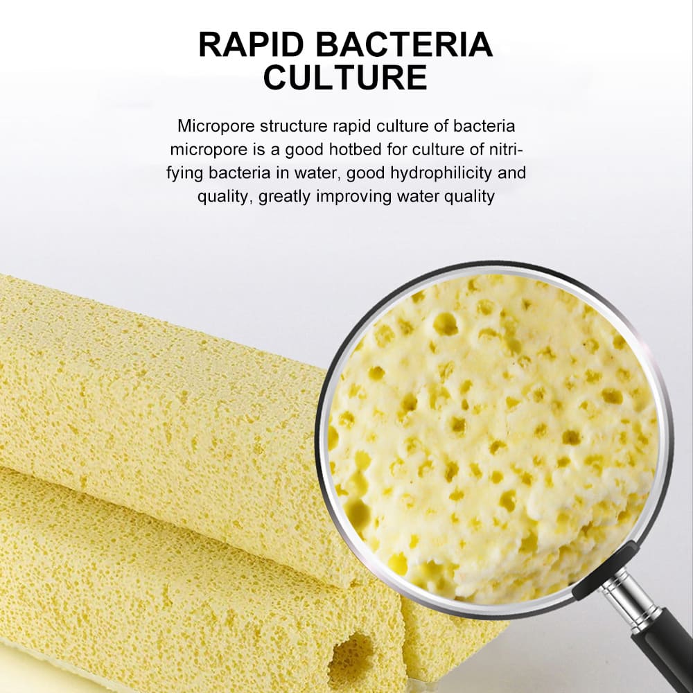 aquarium filter media bacteria house