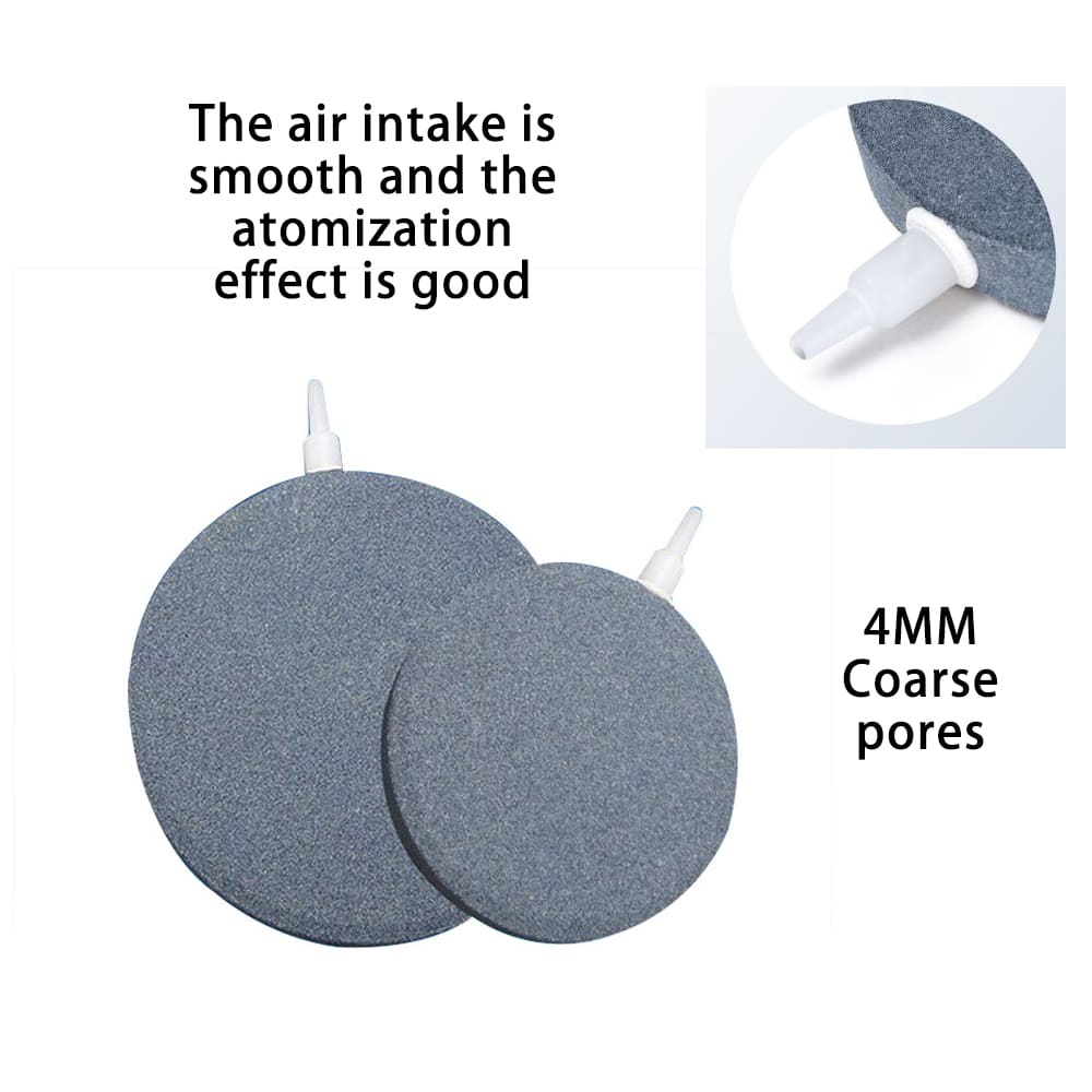 air stone in aquarium