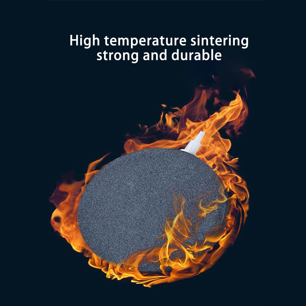 air stone in aquarium