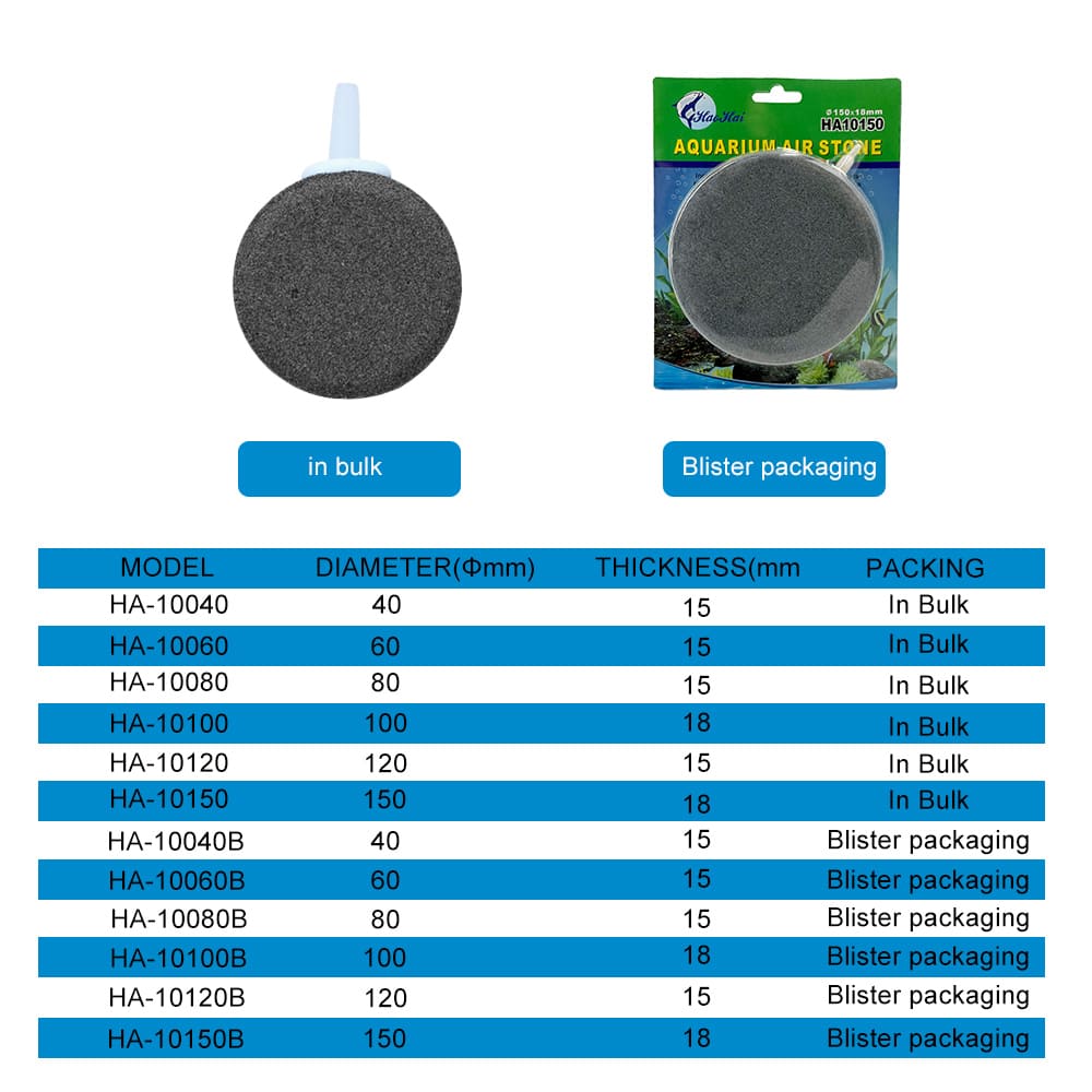 air stone in aquarium