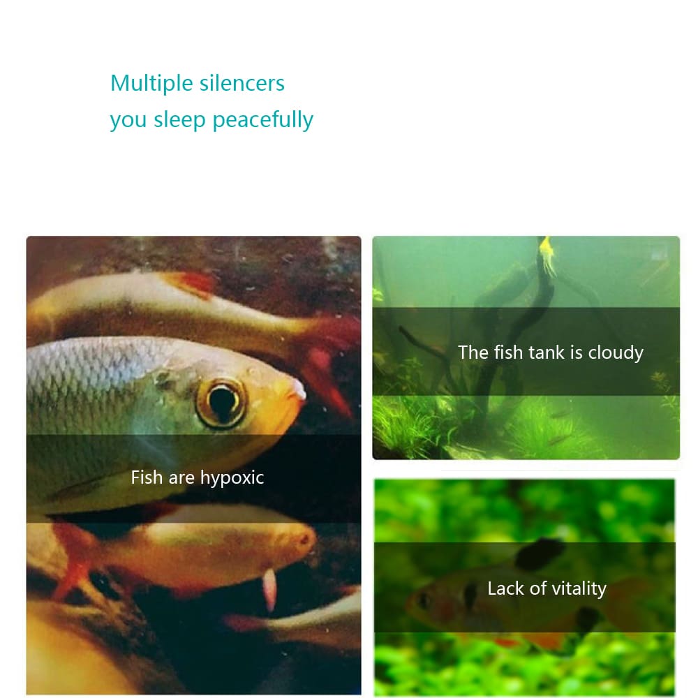 Aquarium Built-in filtered oxygen pump