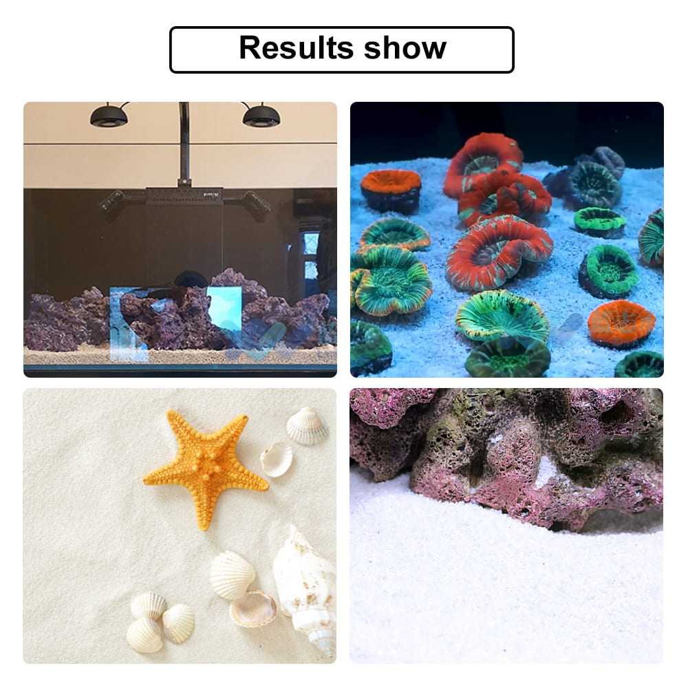 Aquarium Coral sand for aquarium natural landscaping