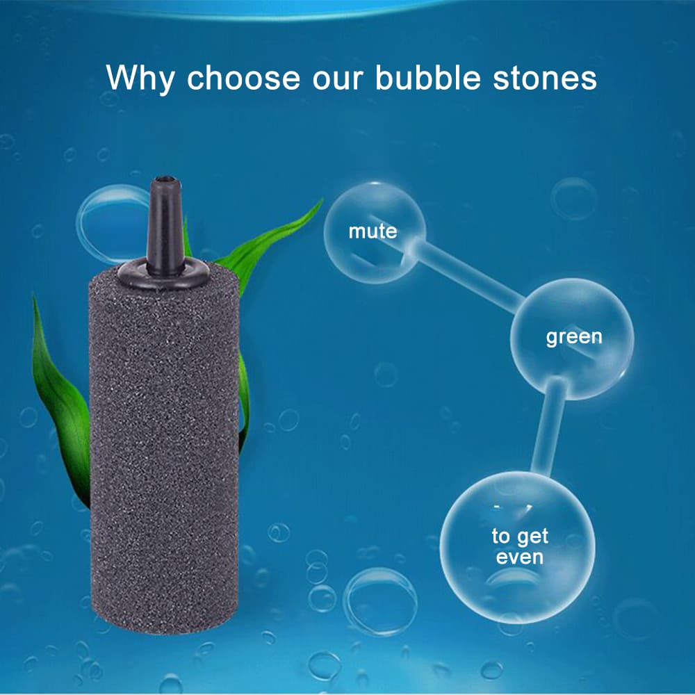 air stone in fish tank