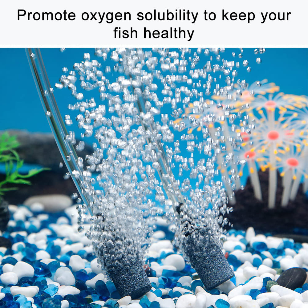 air stone in fish tank