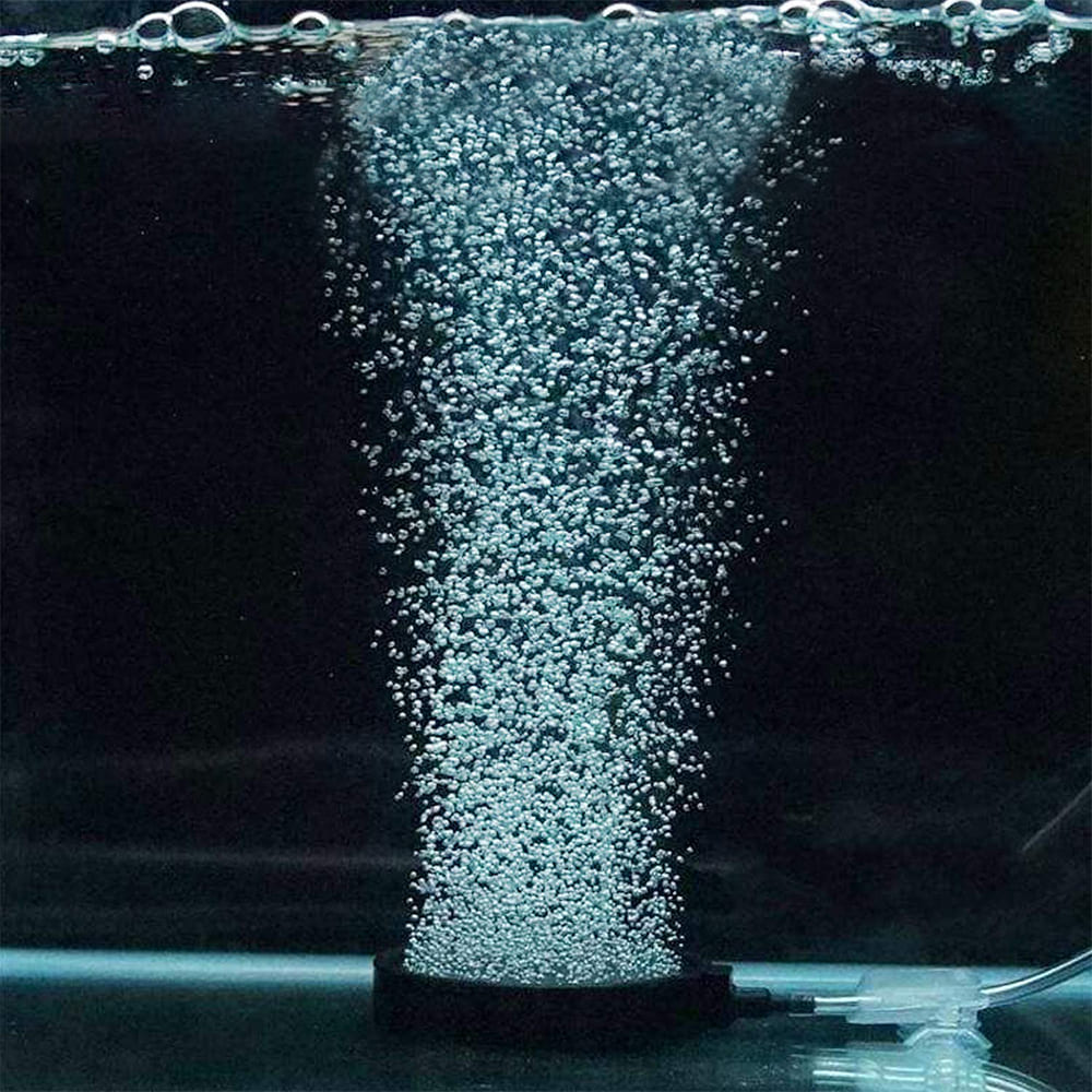 fish tank air stone