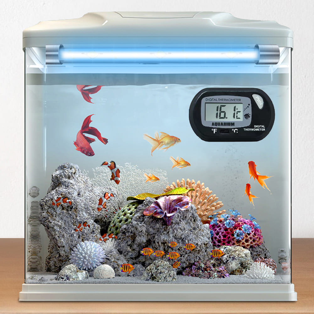fish tank thermometer digital
