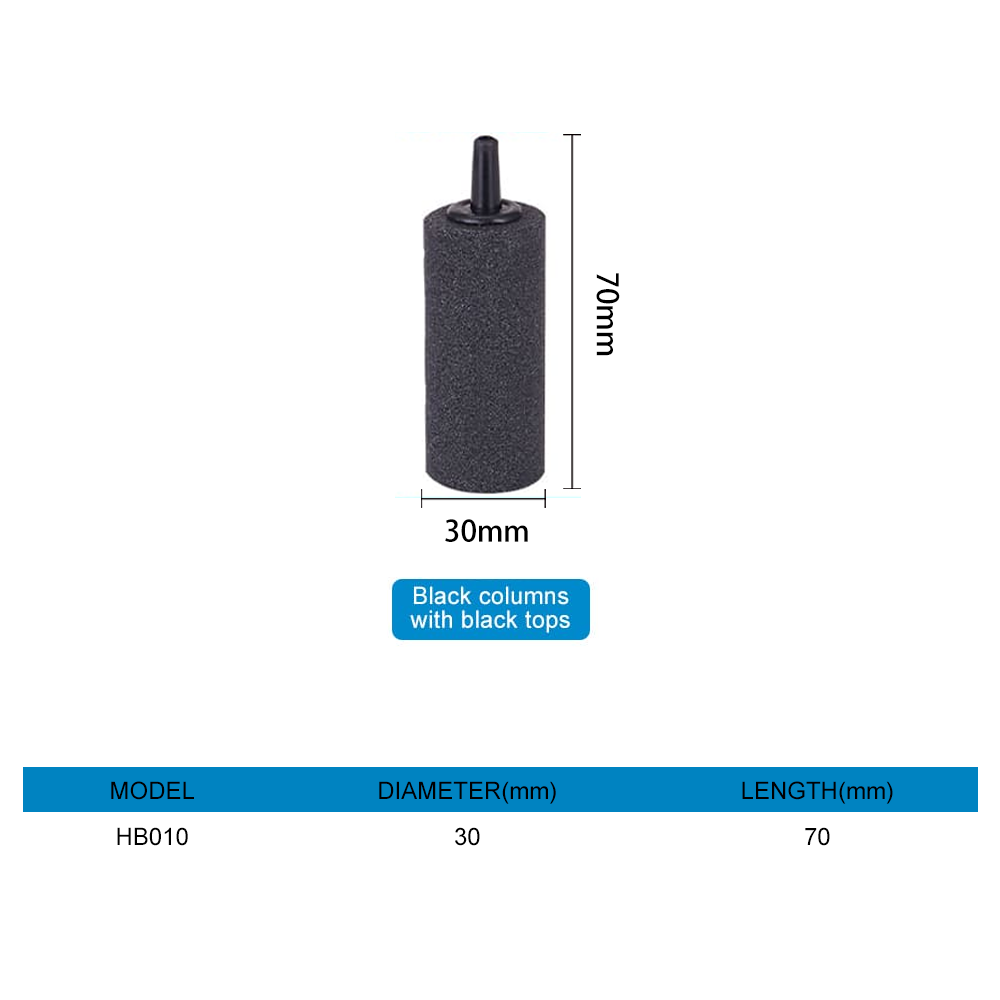 air stone in fish tank