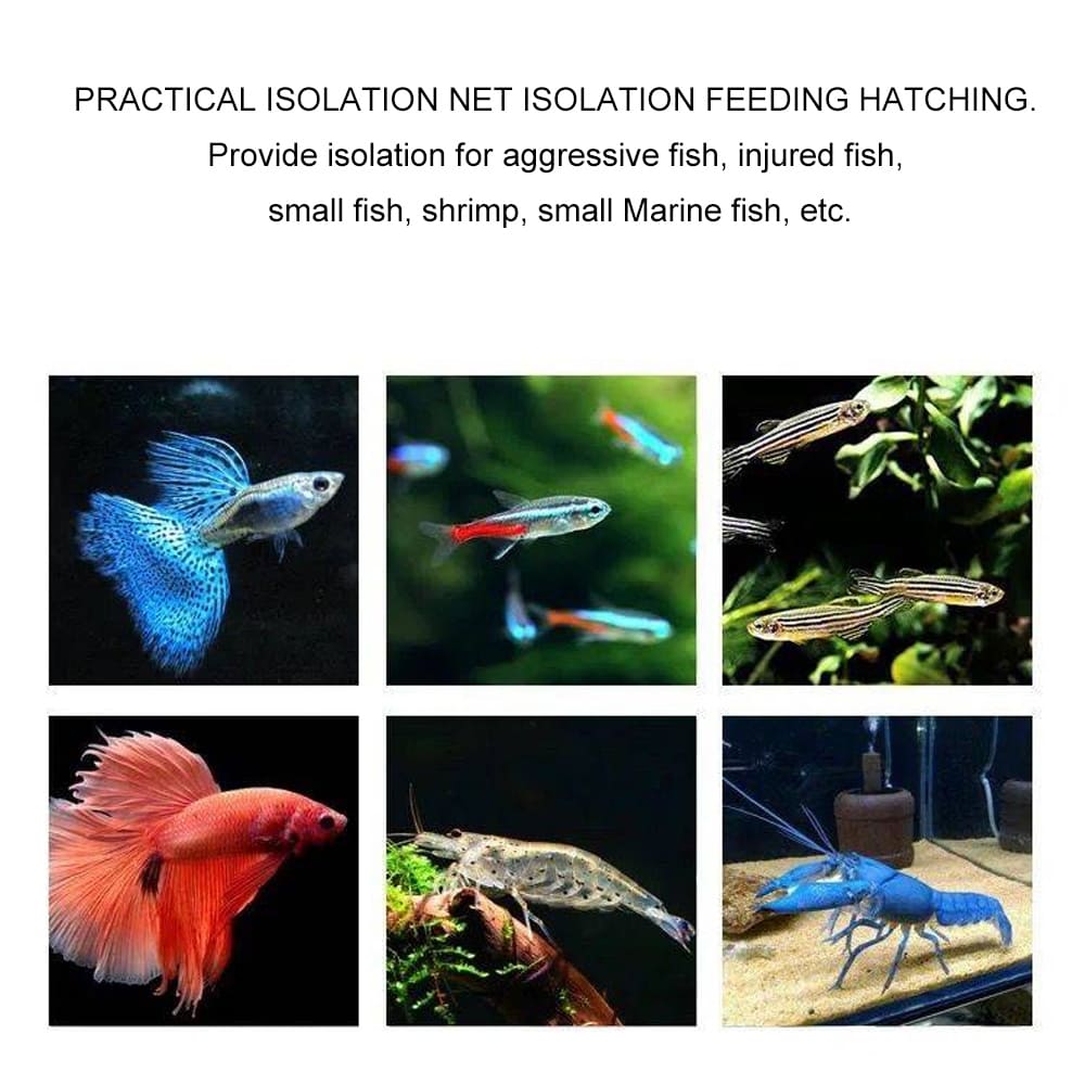 aquarium isolation box