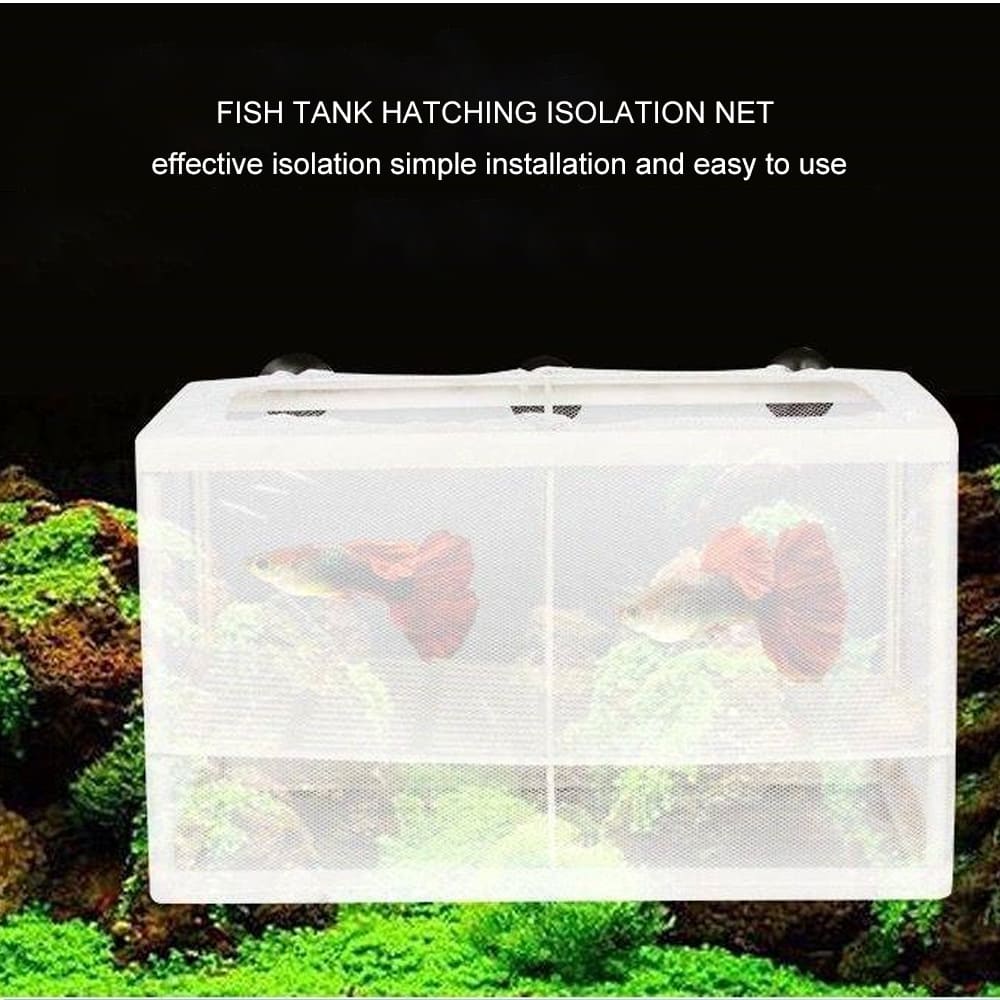aquarium isolation box