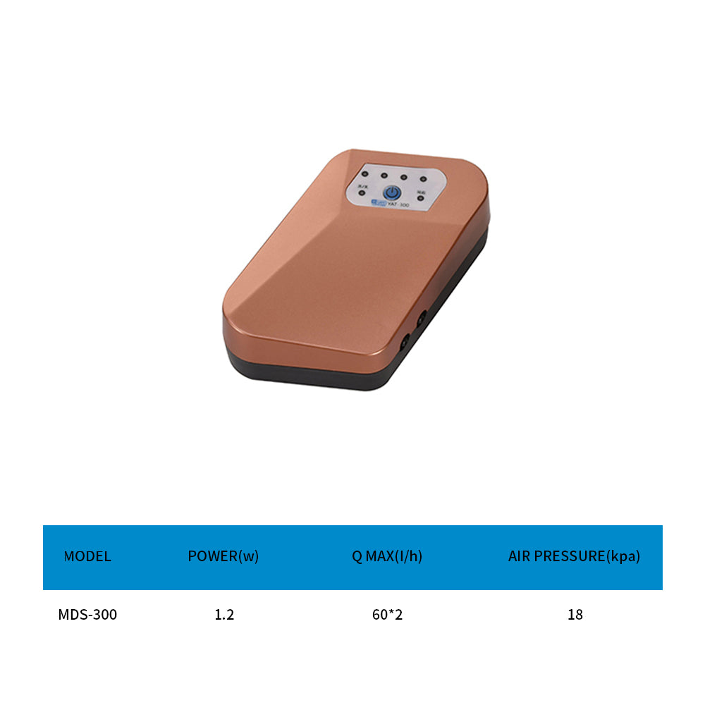 Water tank AC/DC air pump