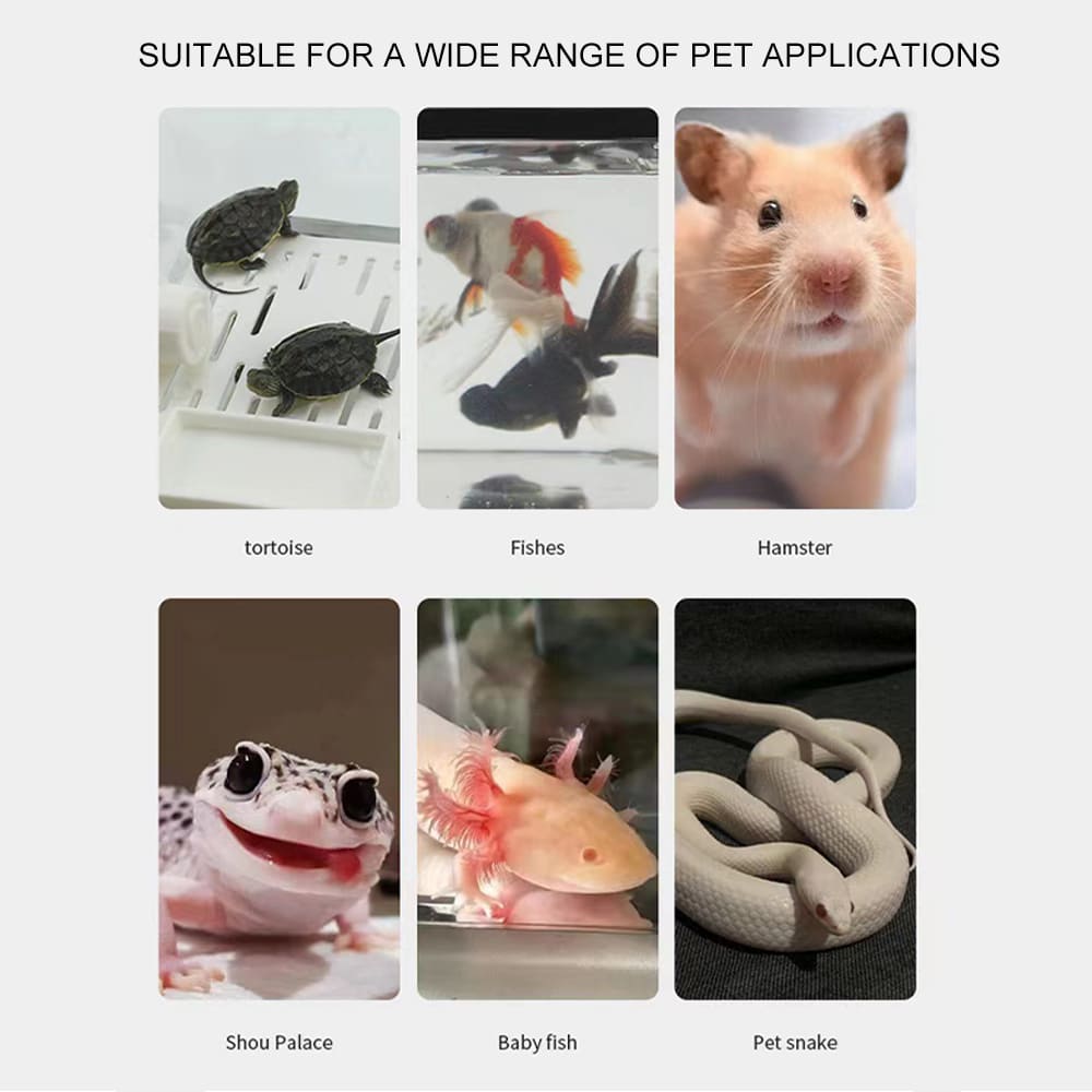 Aquarium plastic small fish tank rearing box