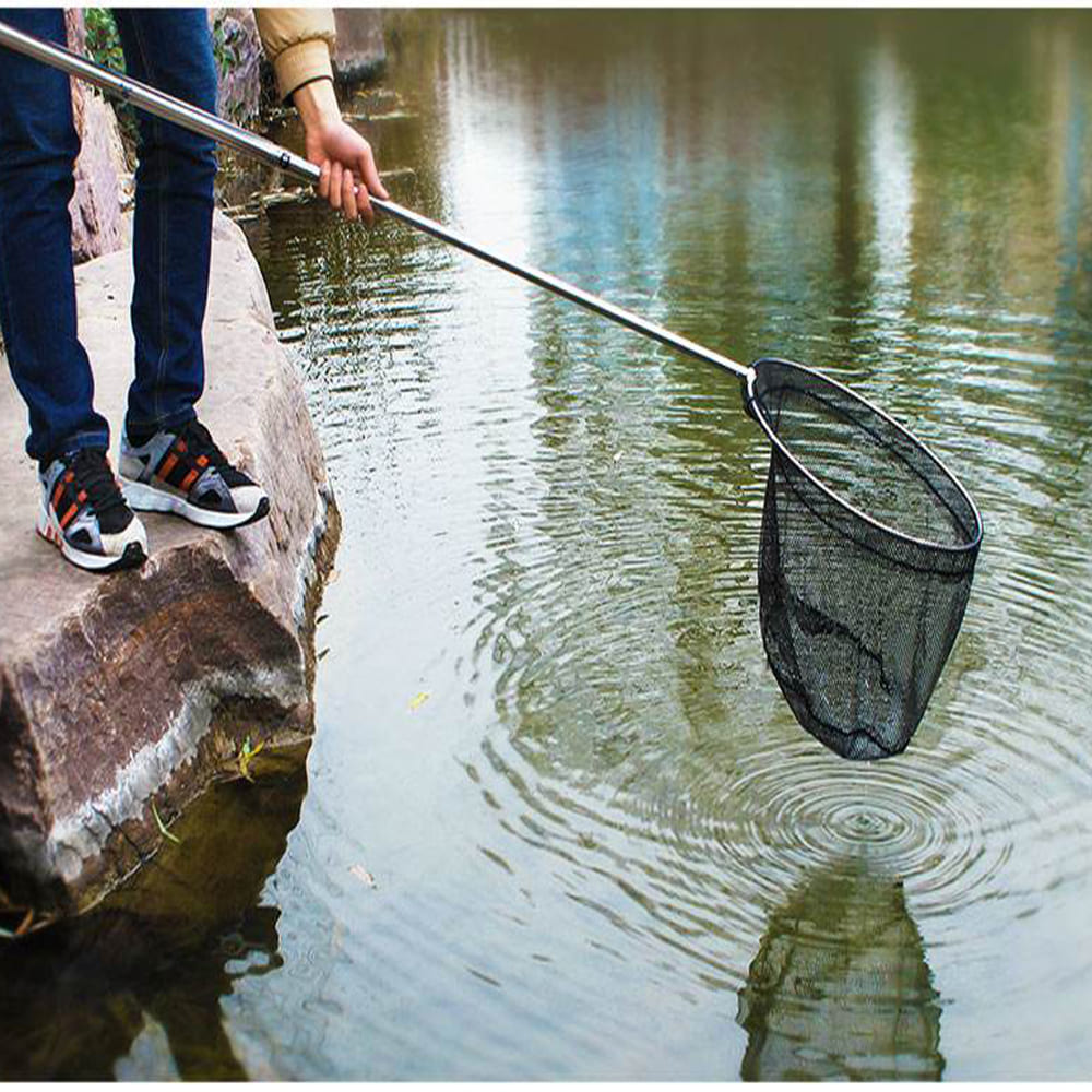 large aquarium fish net