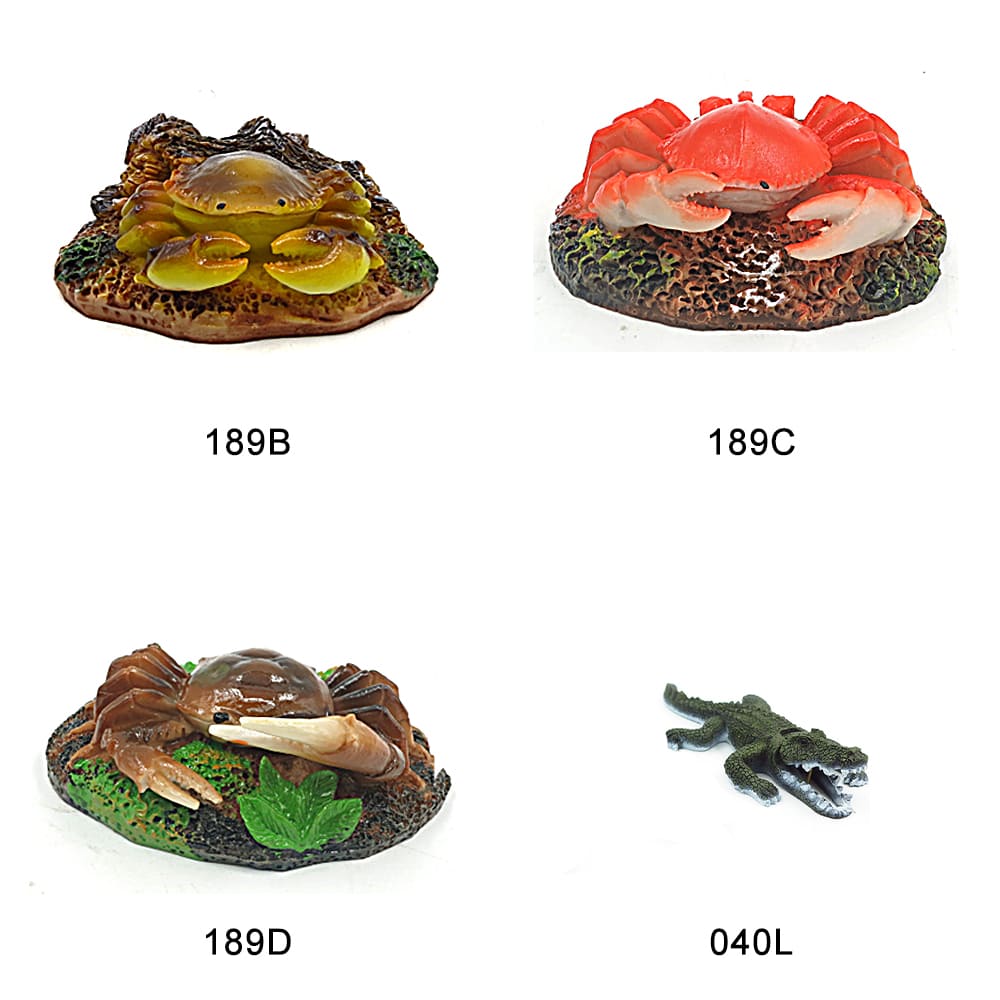 Personalized fish tank decorations