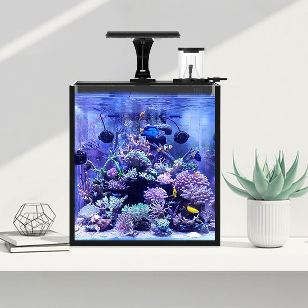 Fish Tank Filter All-in-One Aquarium