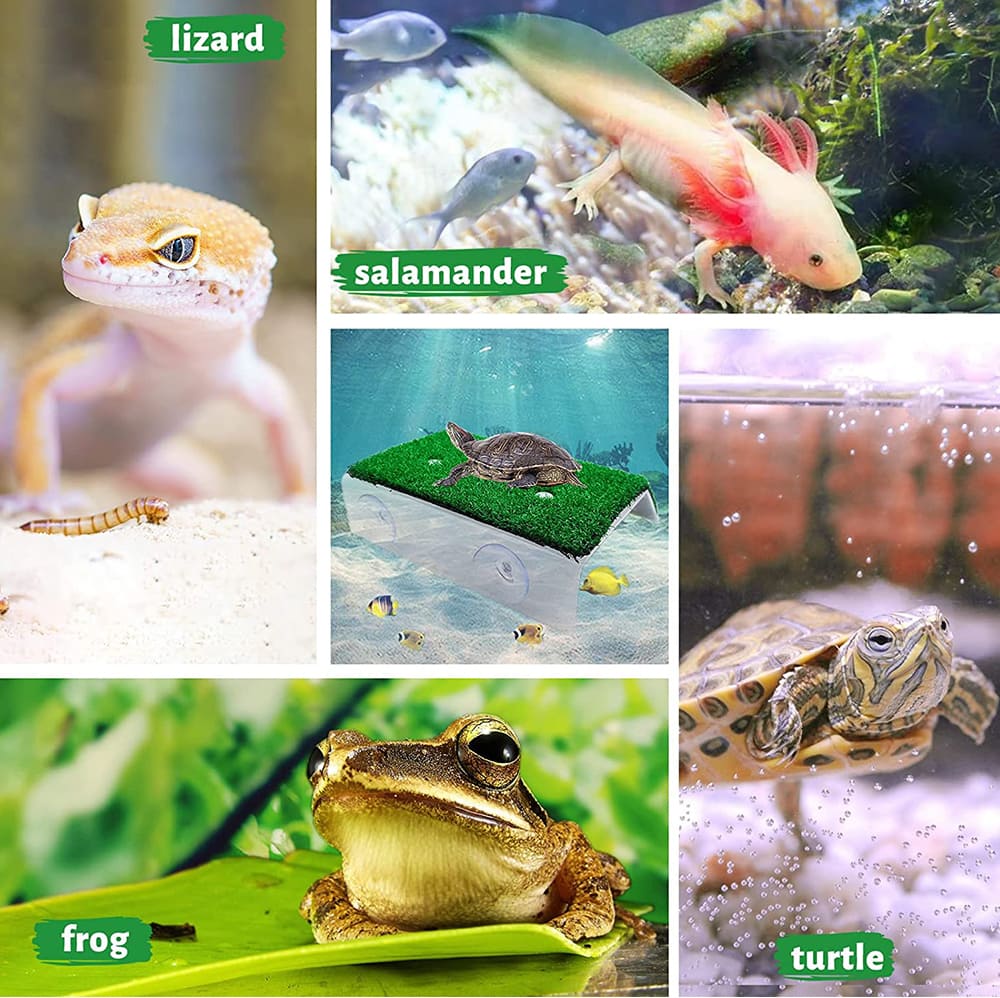 Aquarium simulation turf turtle climbing platform