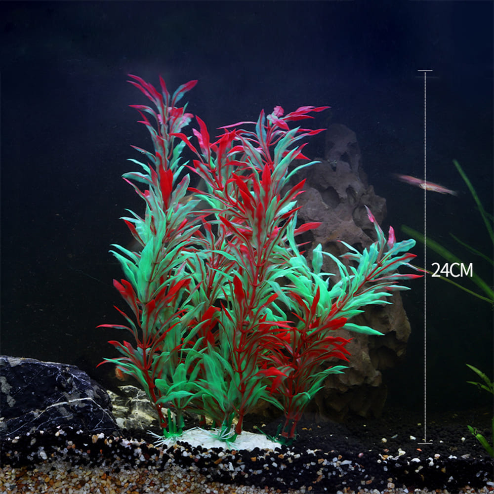 fish tank realistic aquarium plants