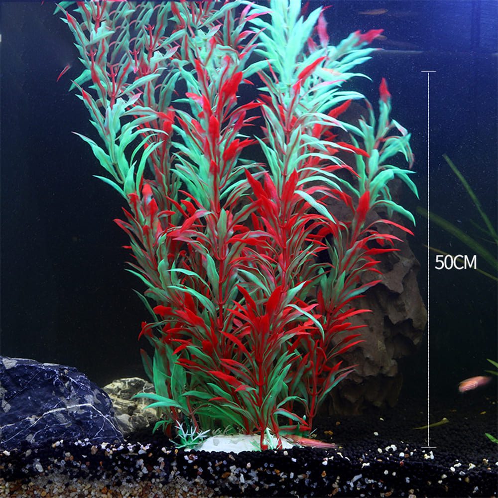 fish tank realistic aquarium plants