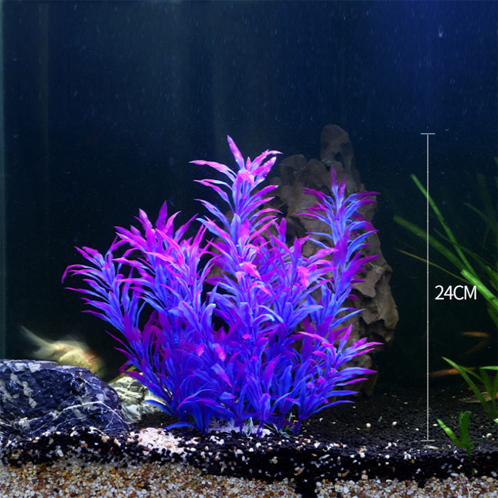 fish tank realistic aquarium plants