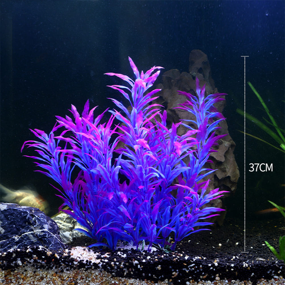 fish tank realistic aquarium plants