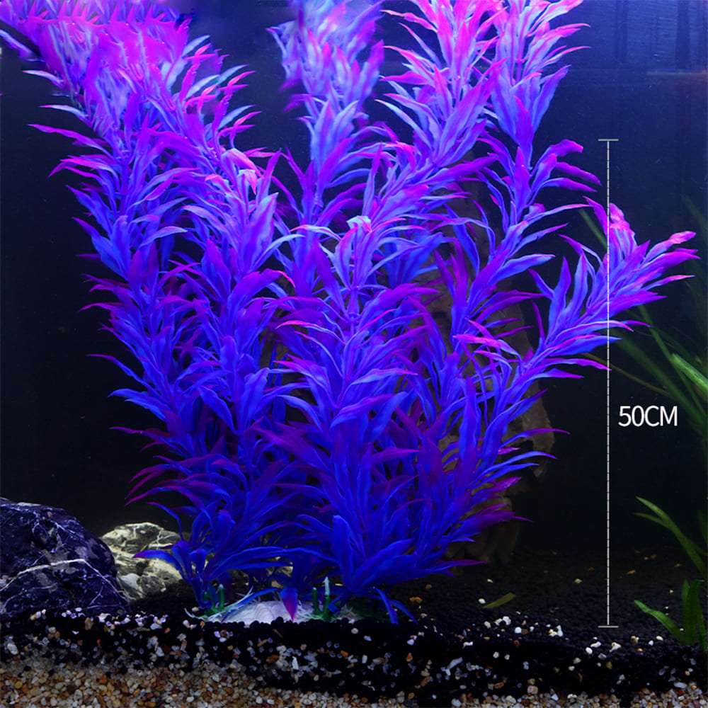 fish tank realistic aquarium plants
