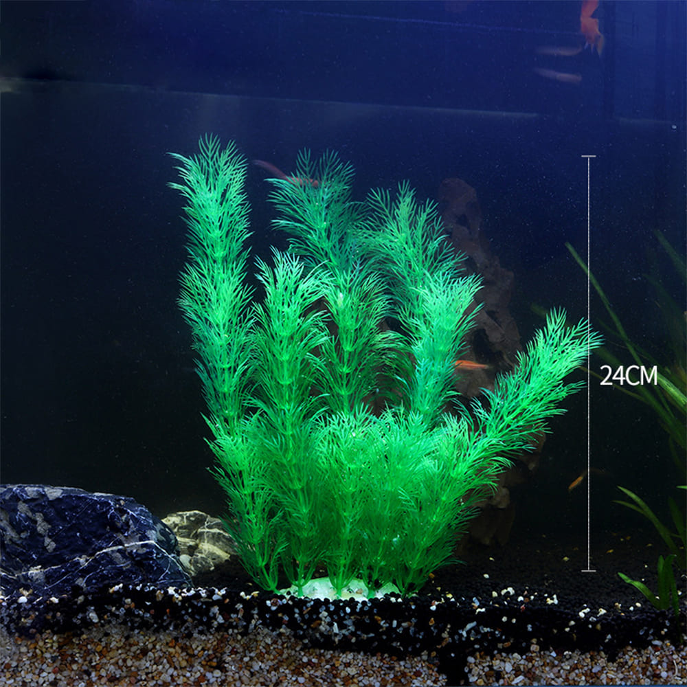 fish tank realistic aquarium plants