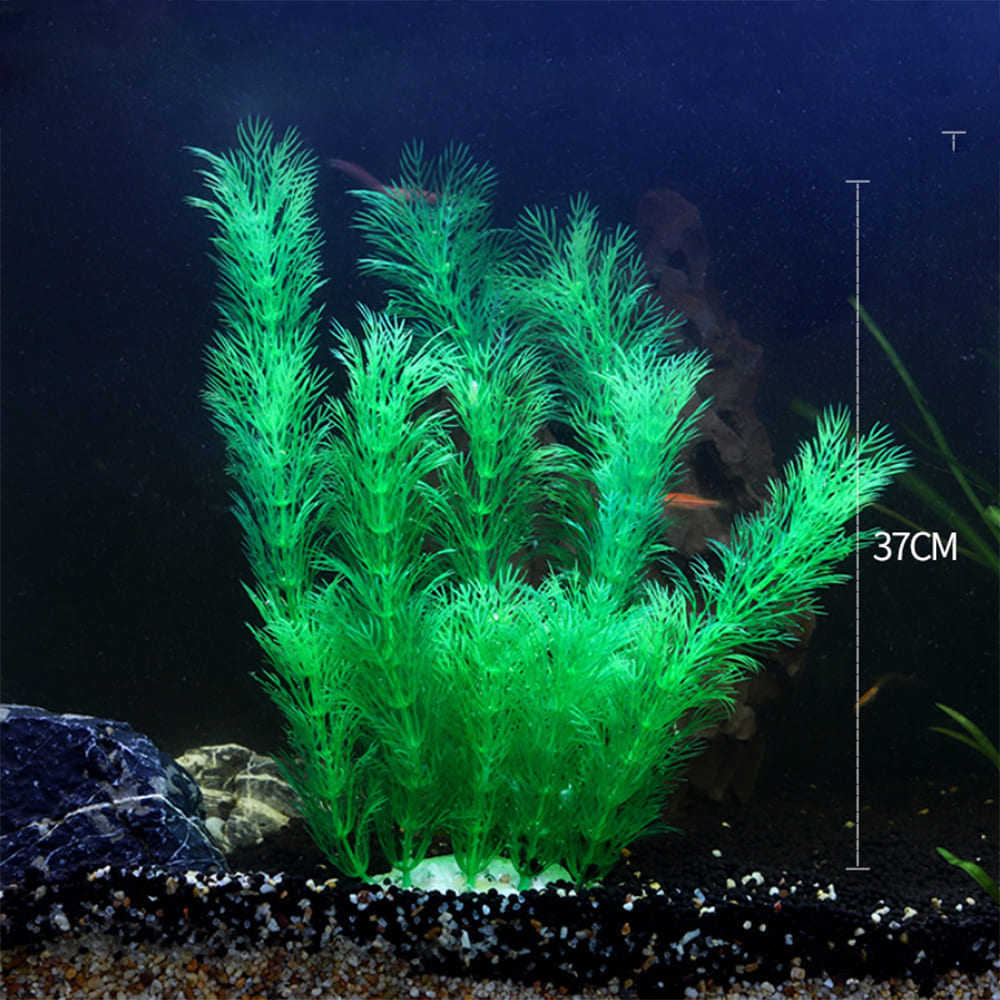 fish tank realistic aquarium plants