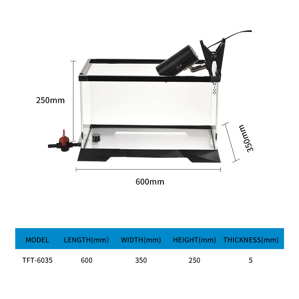 Large space ecological turtle tank dedicated to aquarium