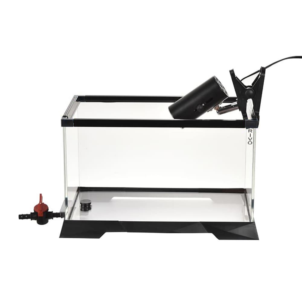 Large space ecological turtle tank dedicated to aquarium