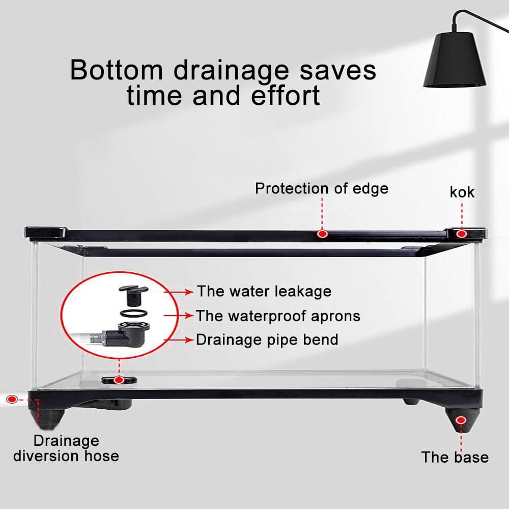 Large space ecological turtle tank dedicated to aquarium