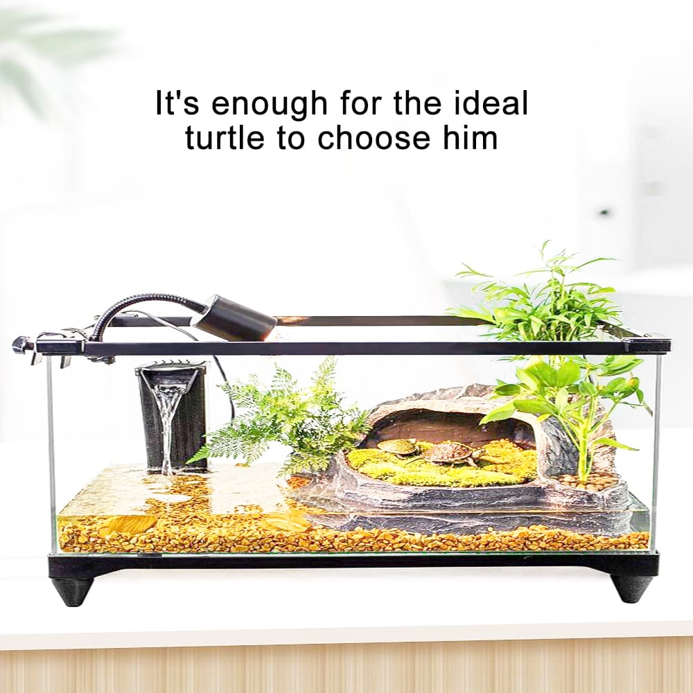 Large space ecological turtle tank dedicated to aquarium