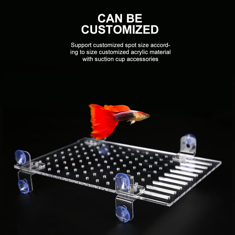 fish tank acrylic divider