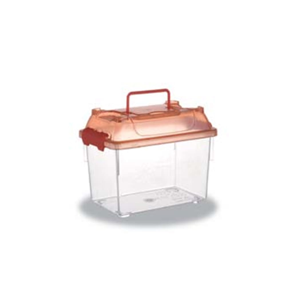 Aquarium small size fish tank rearing box