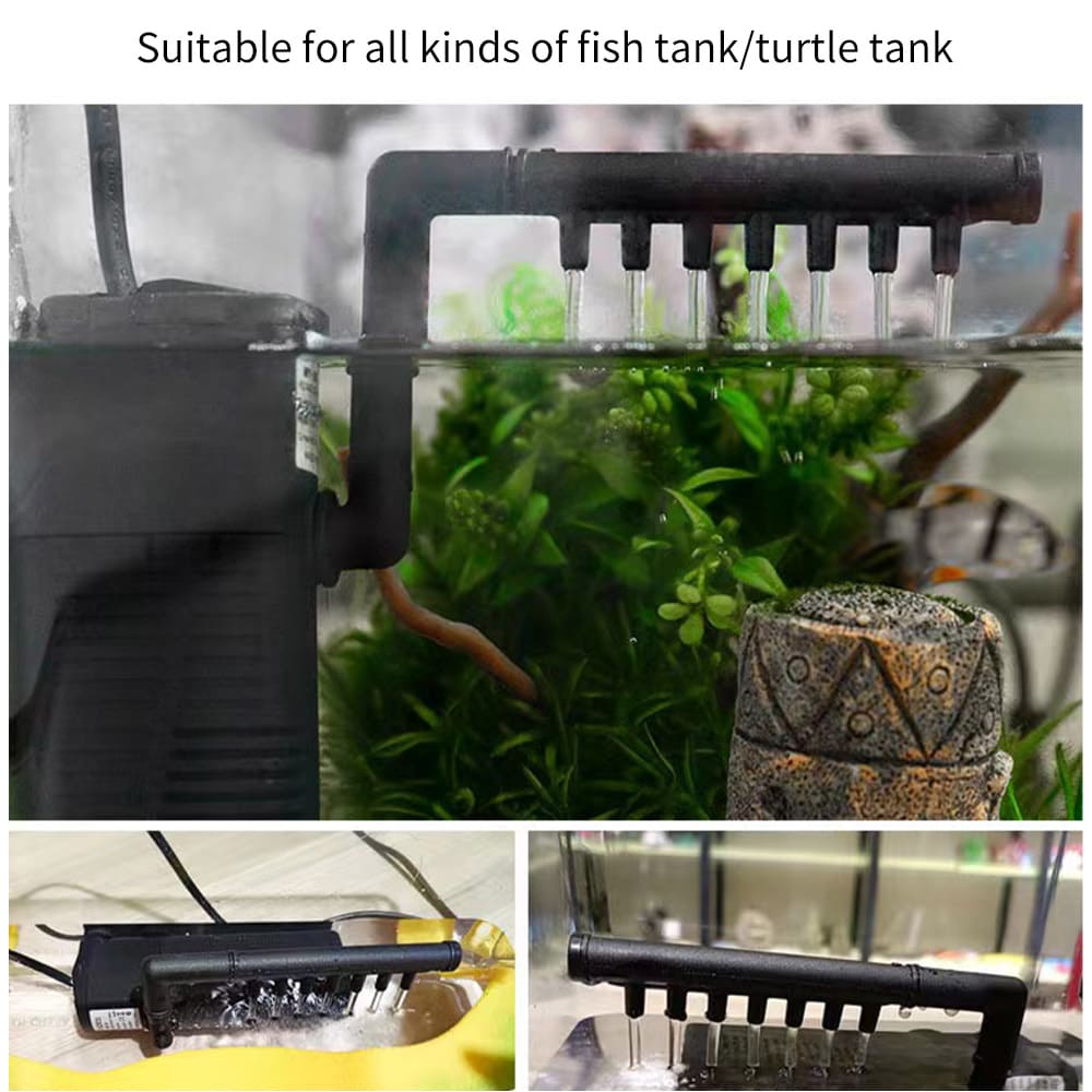 Turtle Tank Terrace