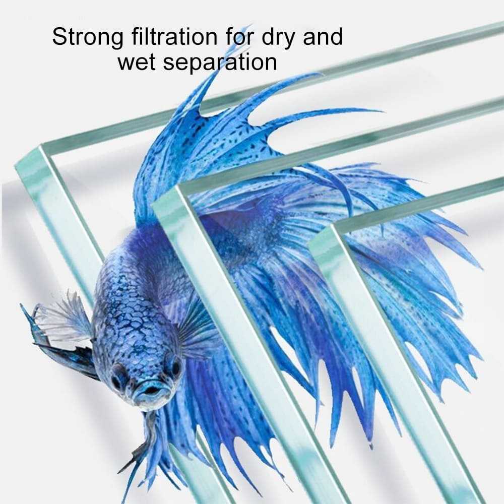 Aquarium Ultra white glass aquarium