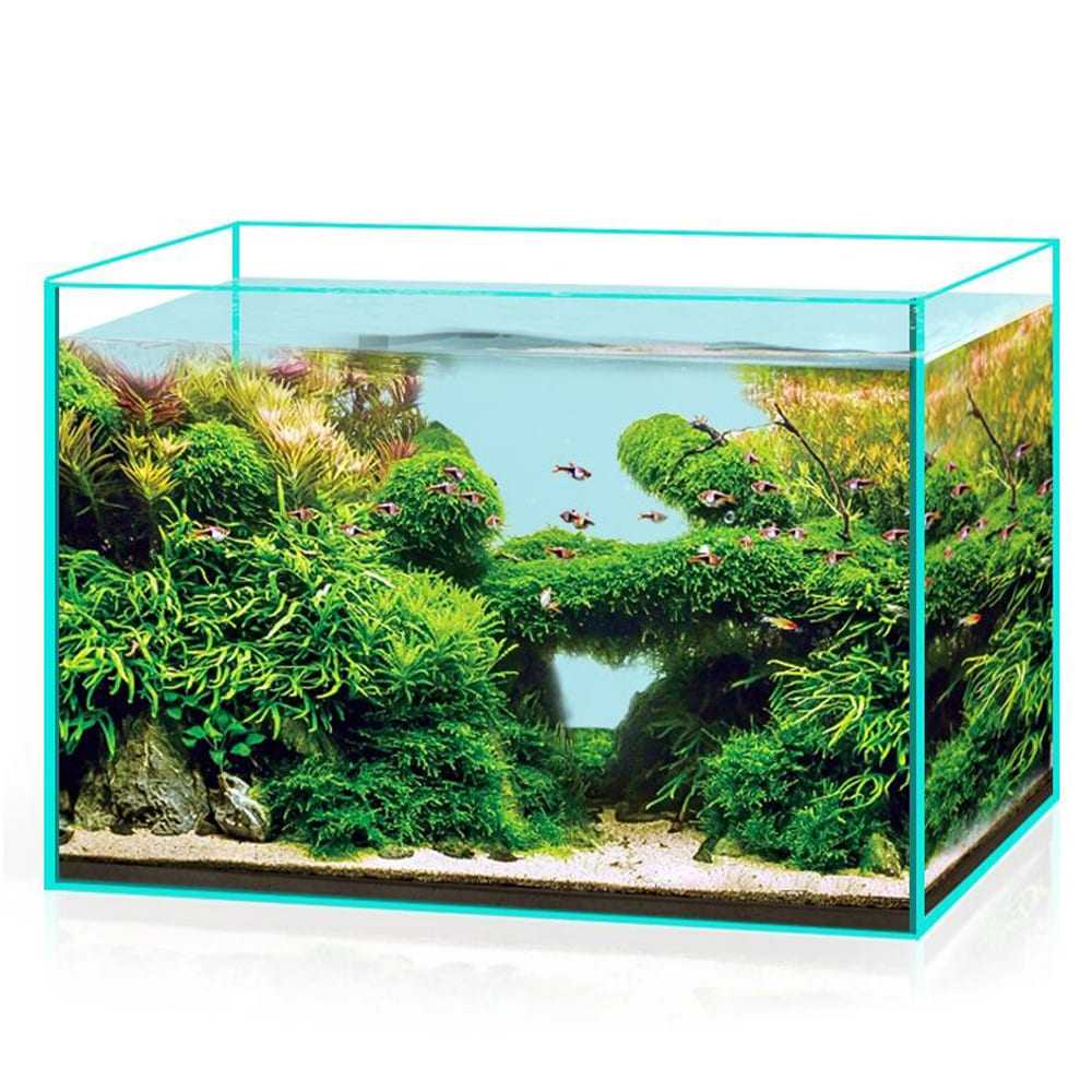 Aquarium Ultra white glass aquarium